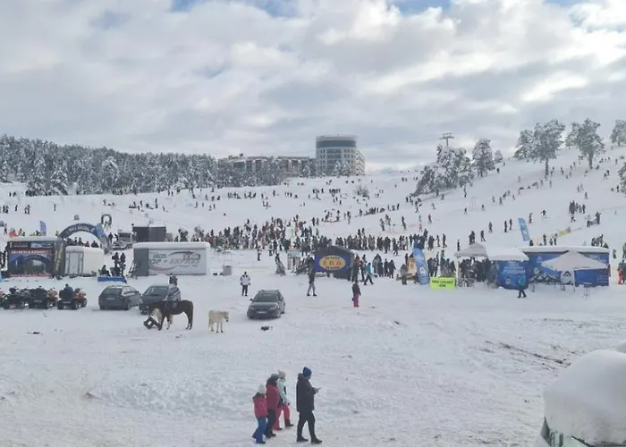 Dalija Διαμέρισμα Ζλάτιμπορ